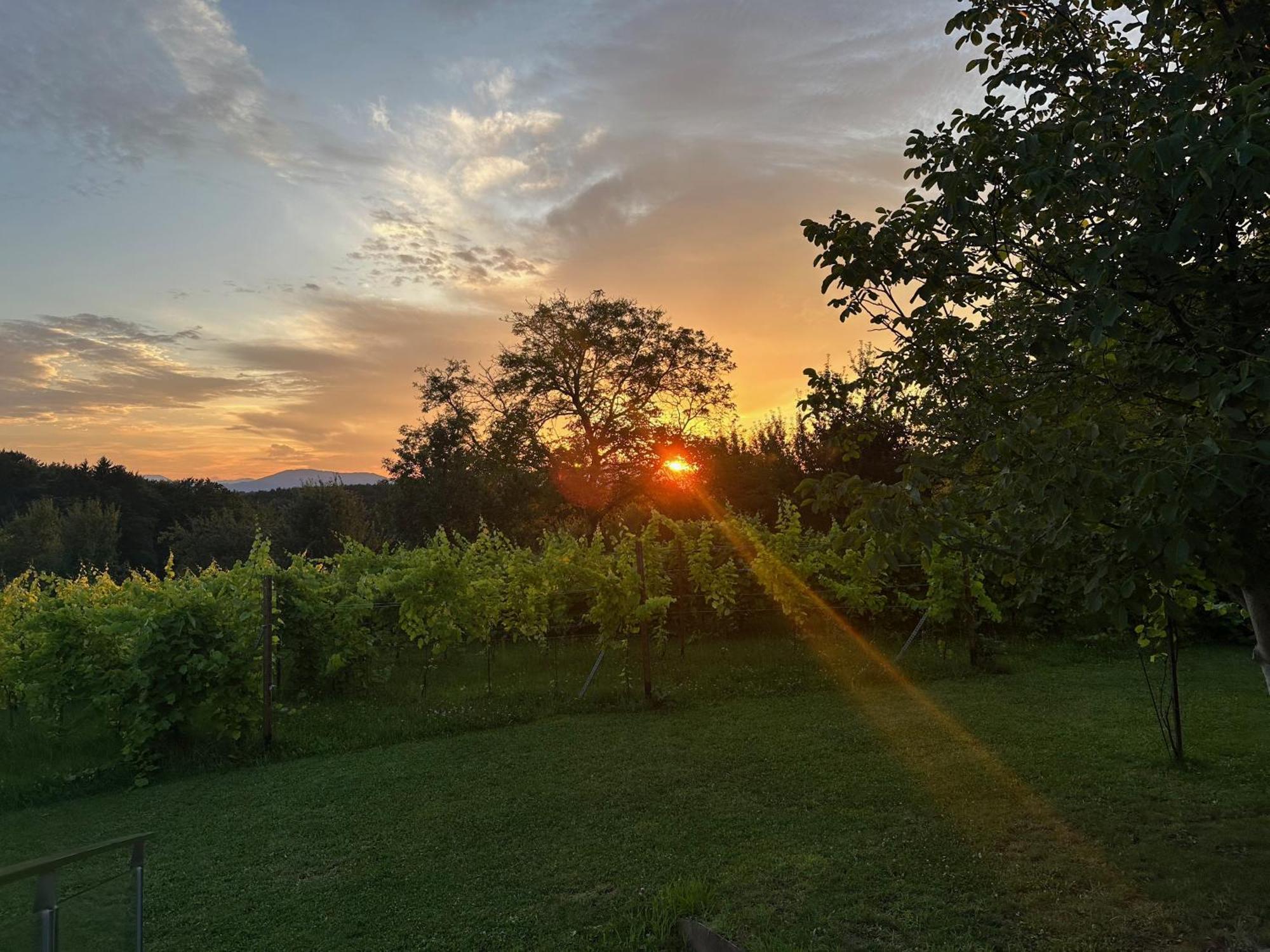 Lind Fruchtreich Apartment Sebersdorf ภายนอก รูปภาพ